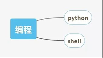 網(wǎng)絡(luò)工程師技能圖譜 一份全面的能力清單與進階指南